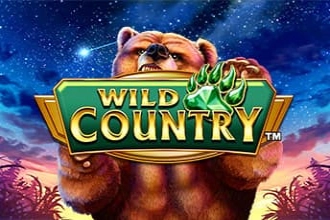 09502 wild country